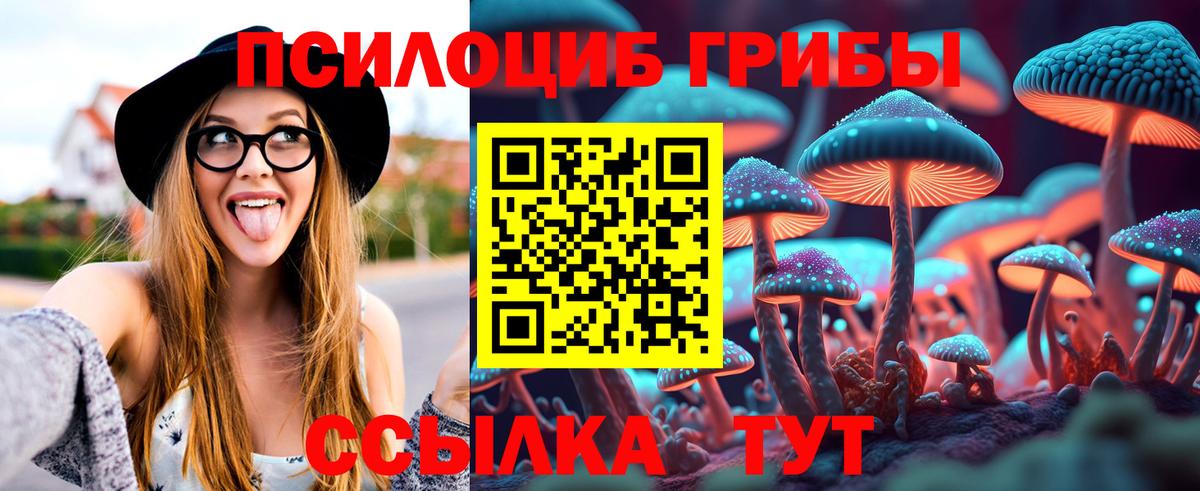 Конаково  Псилоцибиновые грибы Magic Shrooms  Вход с VPN 