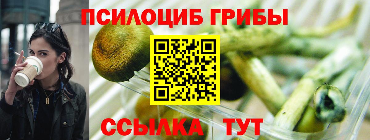 Псилоцибиновые грибы мухоморы Конаково